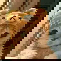 leonpamela21's Profile Photo