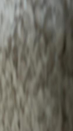 leroy2345's Profile Photo