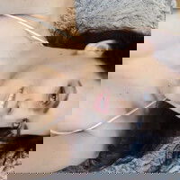 lessiegood, 24 years old from United States