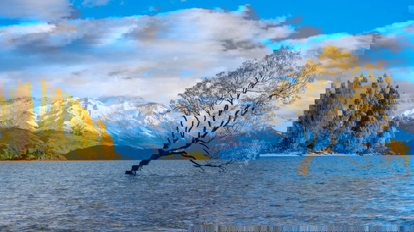 letsgetfreaky, 19 years old from United States