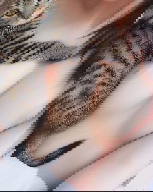 lixeno2803's Profile Photo