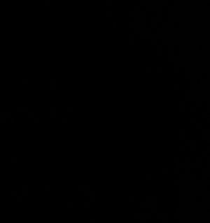 lolp4812's Profile Photo