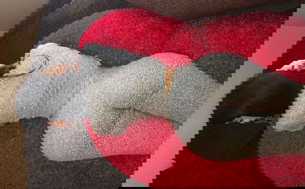 losel71762, 27 years old from United States