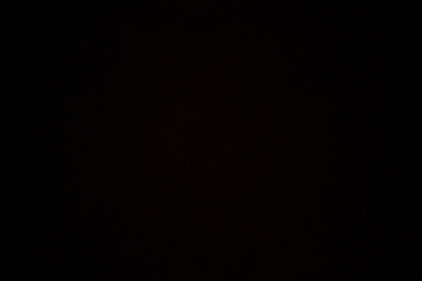 lucas2452's Profile Photo