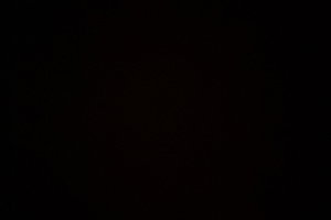 lucas2452's Profile Photo