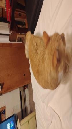 lukeus23's Profile Photo