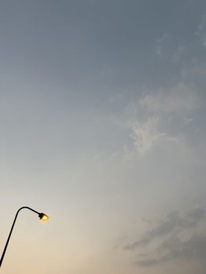 m9almyt's Profile Photo