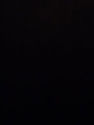 madofi2451's Profile Photo