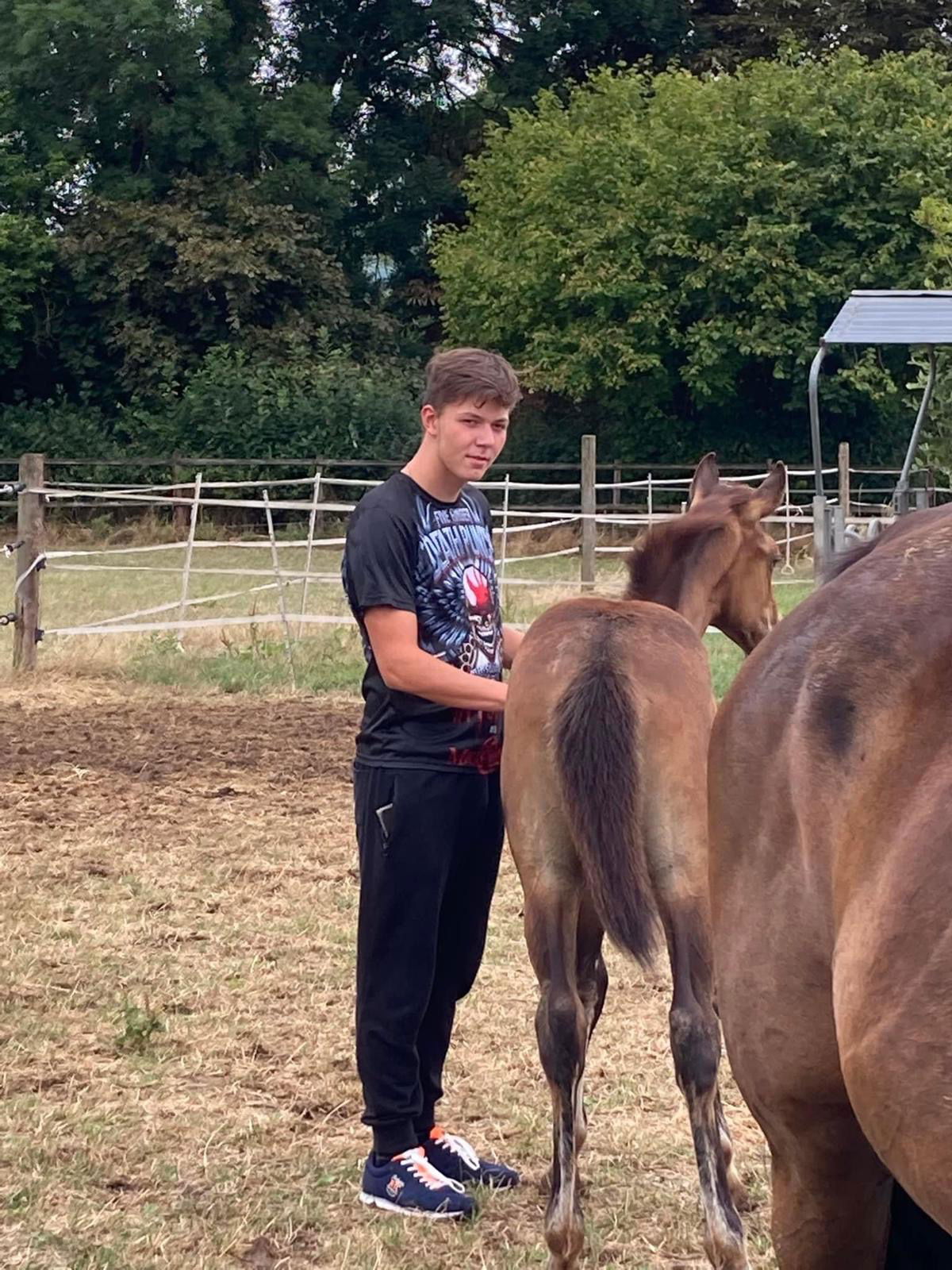 mauzischmid88's Profile Photo