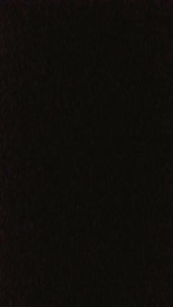 max2's Profile Photo