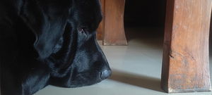 memel12058's Profile Photo