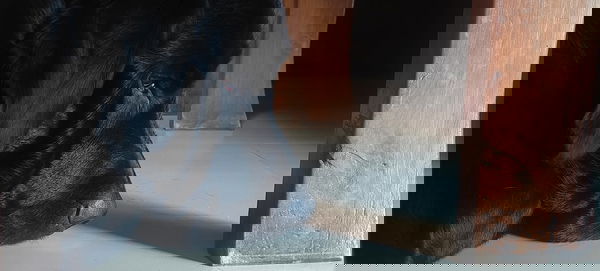 memel12058, 24 years old from United Kingdom