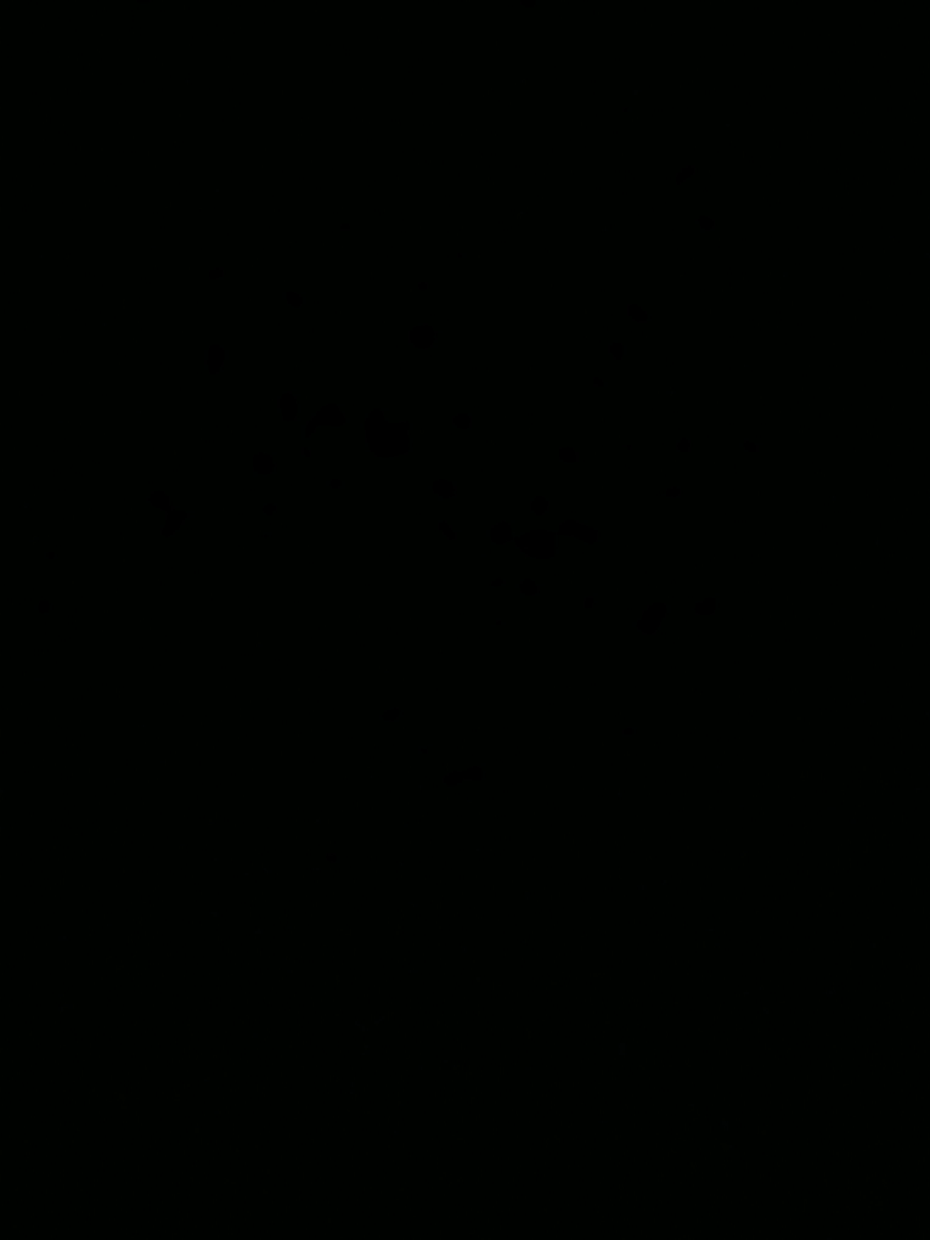 miarenolds361's Profile Photo