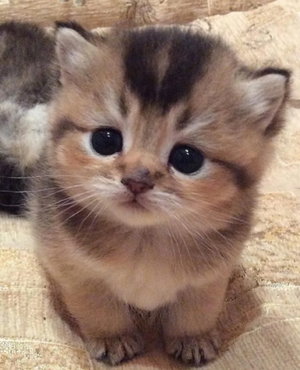 michael727226's Profile Photo