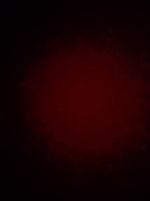 mosh72966's Profile Photo