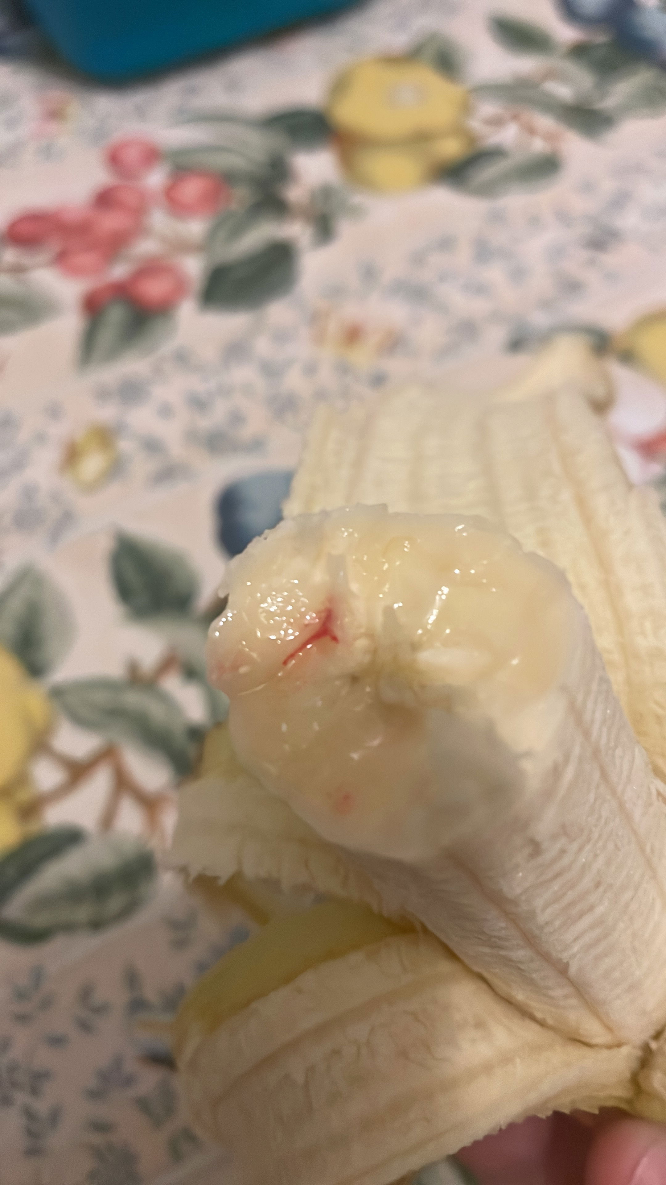 napolifuoco104's Profile Photo