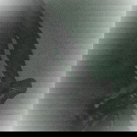 neizar30m, 30 years old from United States