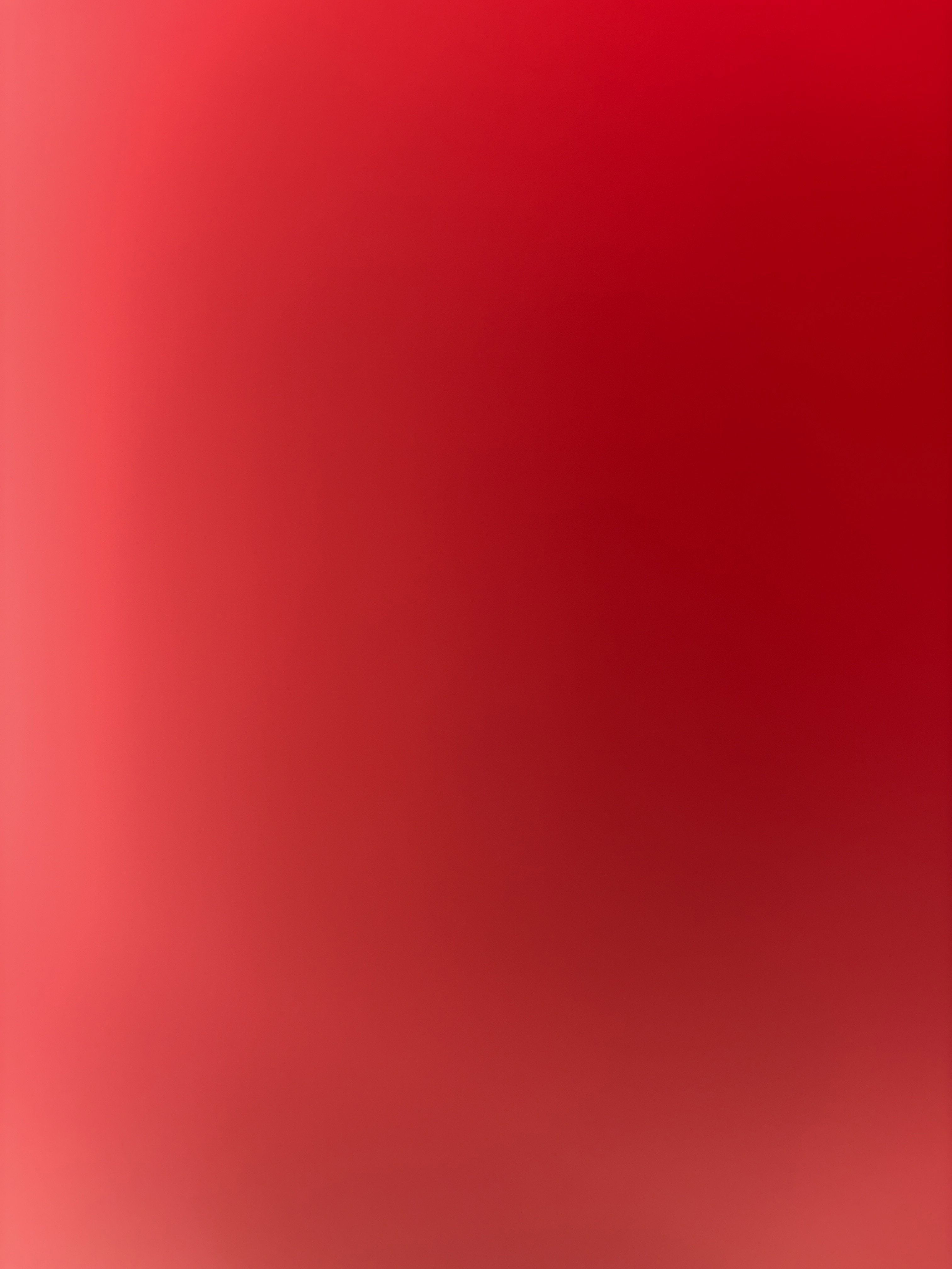 niah's Profile Photo