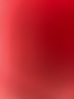 niah's Profile Photo