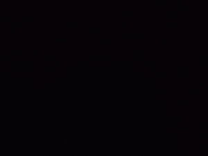 nihajir596's Profile Photo
