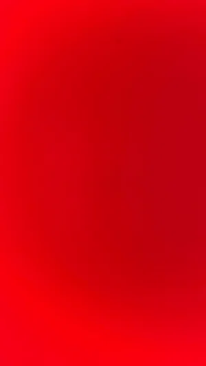 nikolas's Profile Photo