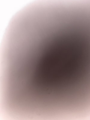 owen64's Profile Photo