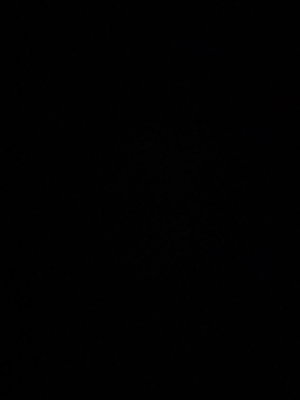 parliodidkin's Profile Photo