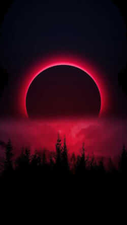 peter20225984's Profile Photo