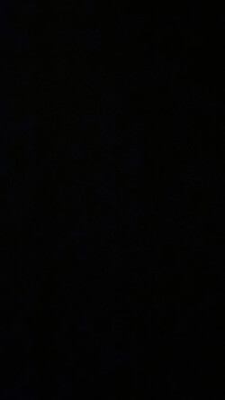 peterhems's Profile Photo