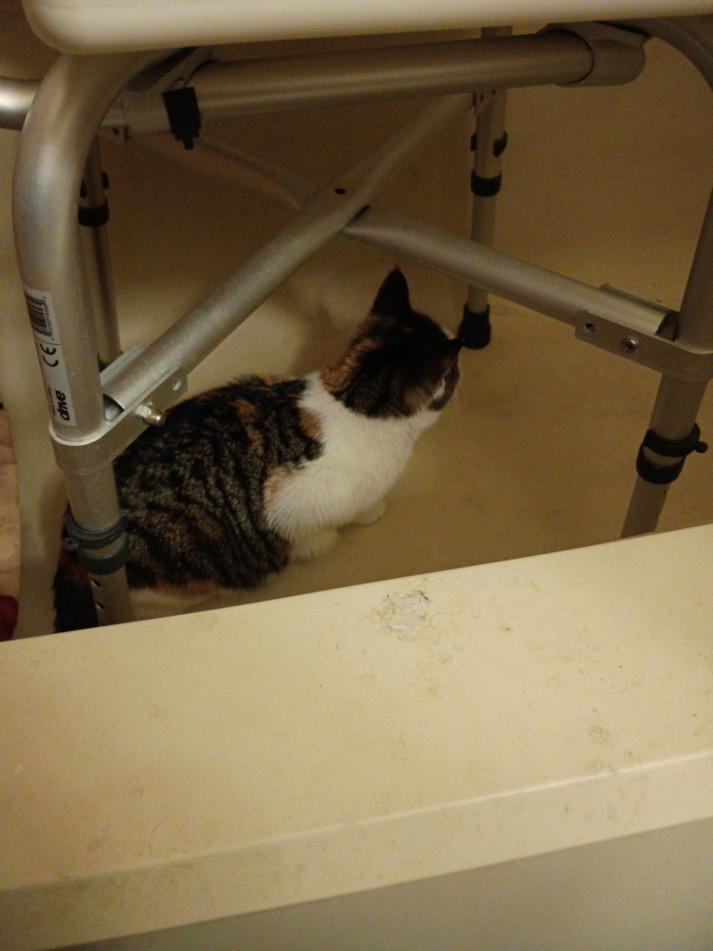 phanom2013's Profile Photo