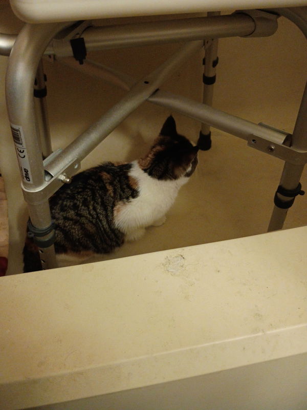 phanom2013, 42 years old from United States