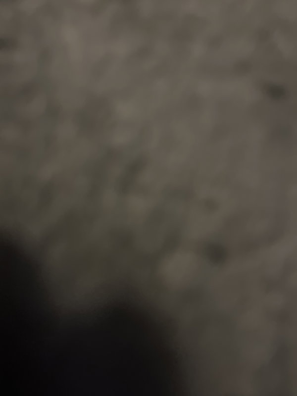 playingroblox200k, 18 years old from United States