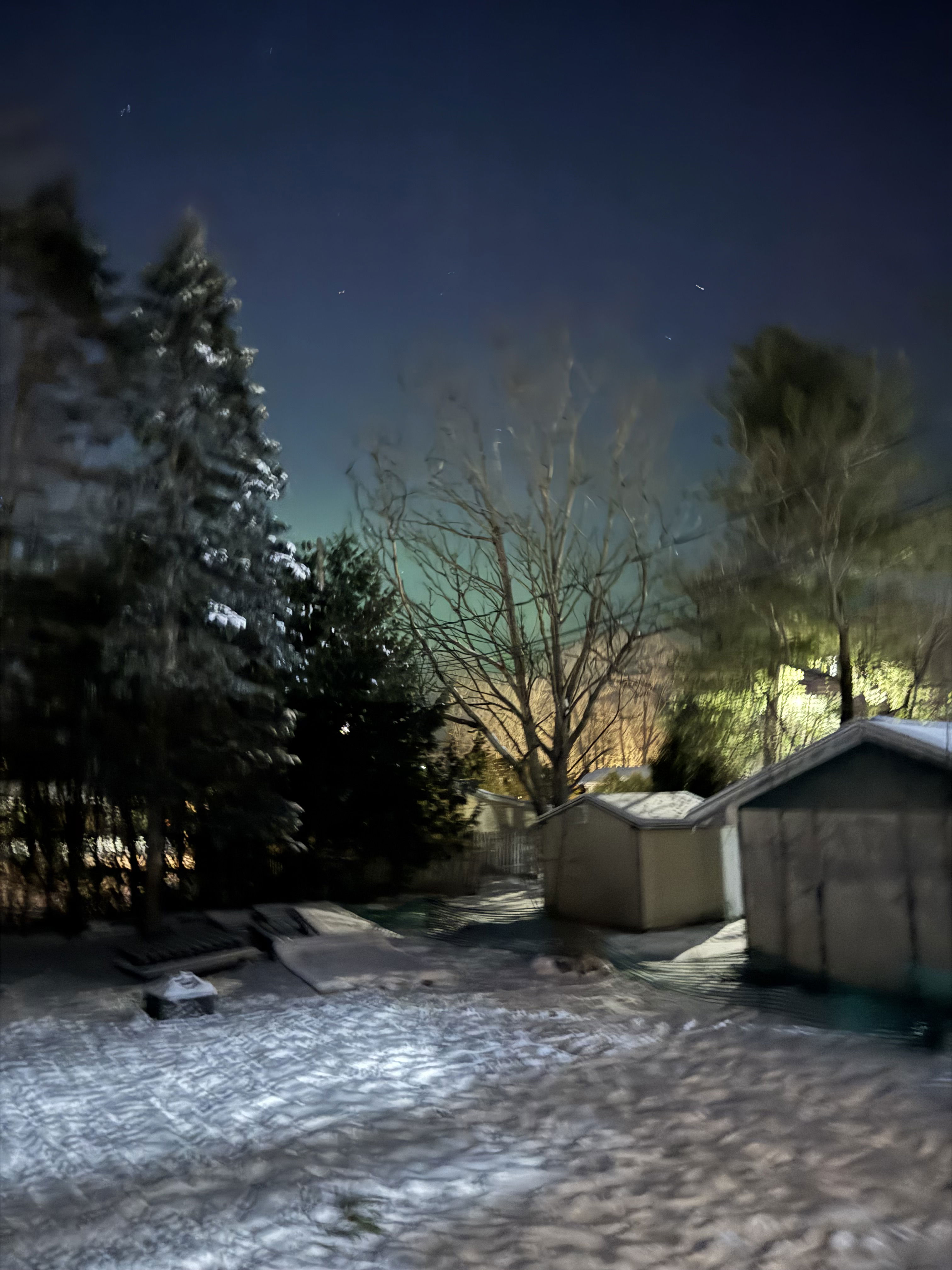 Polo's Profile Photo