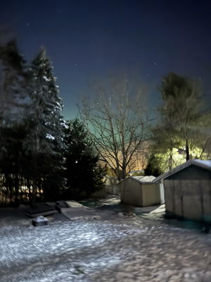 Polo's Profile Photo