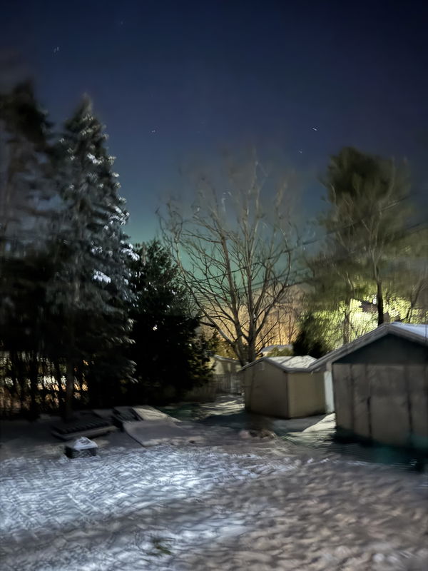 Polo, 21 years old from Canada