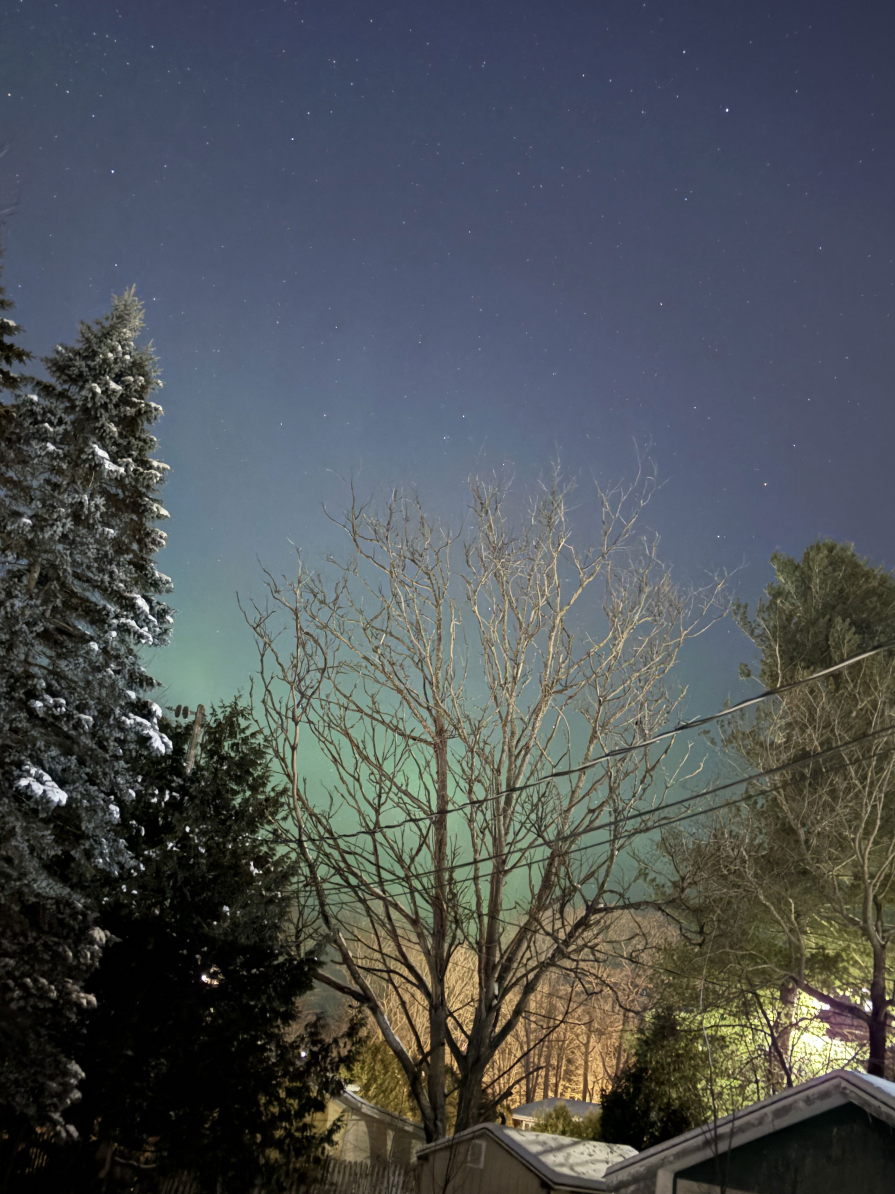 Polo123's Profile Photo