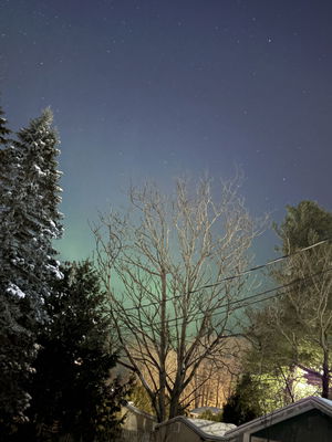 Polo123's Profile Photo