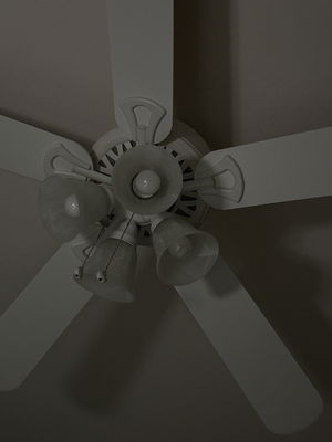 pyslayer61's Profile Photo