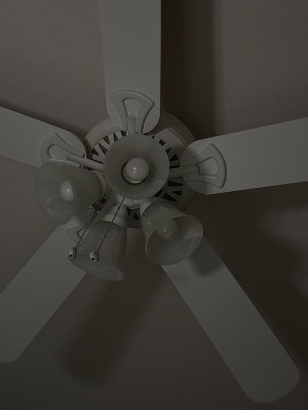 pyslayer61, 22 years old from United States