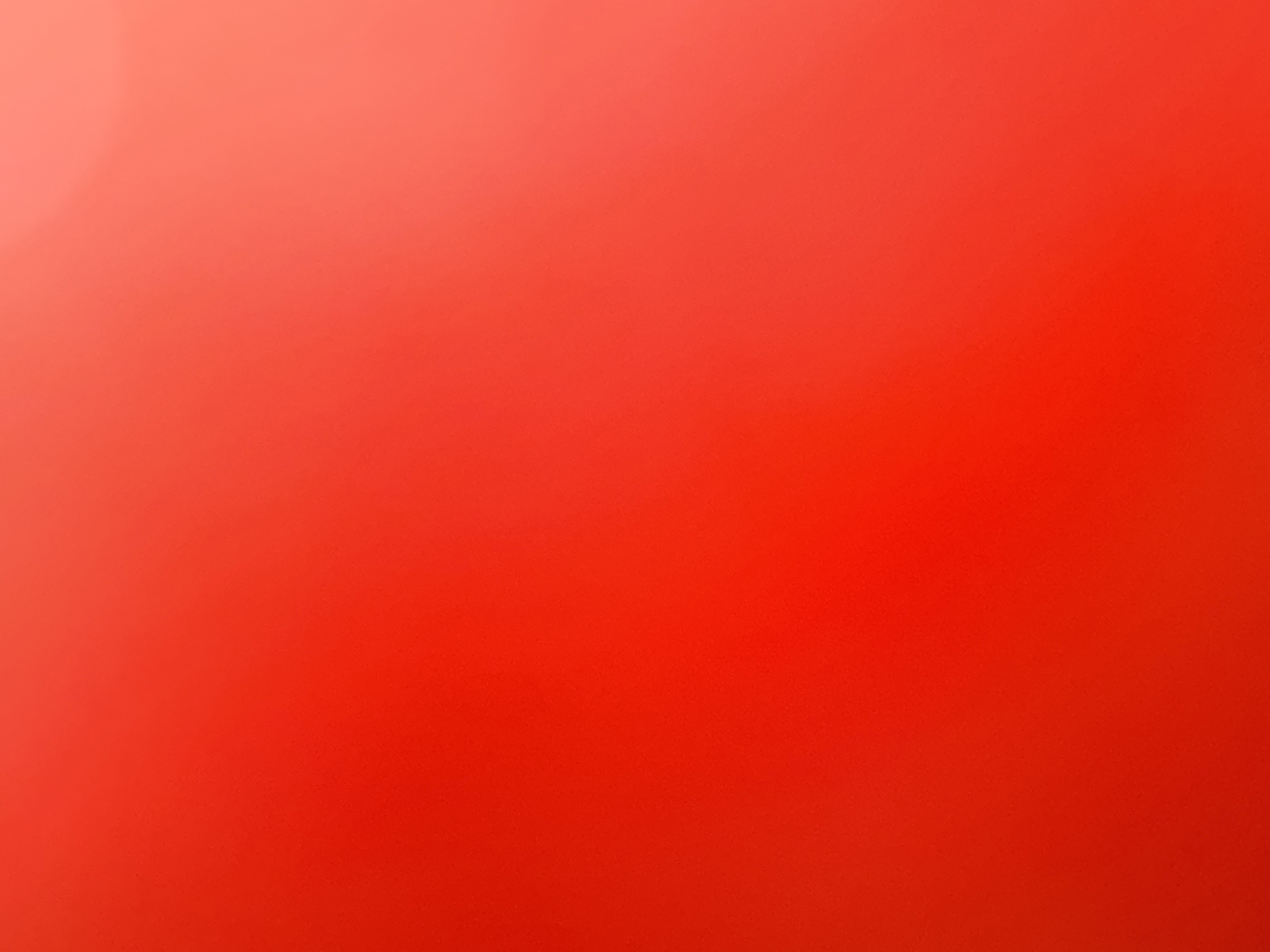 queeffy's Profile Photo