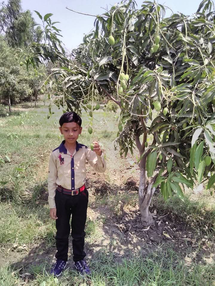 raghavchadda37's Profile Photo