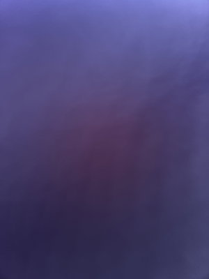 reallyhorny's Profile Photo