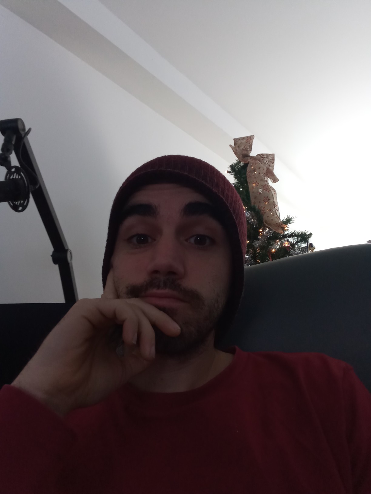 redracoon's Profile Photo