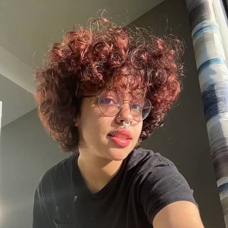 revipo's Profile Photo