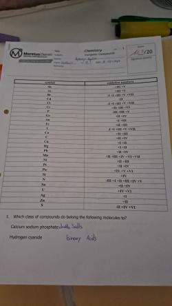 rezai's Profile Photo