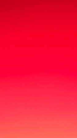 sammy's Profile Photo