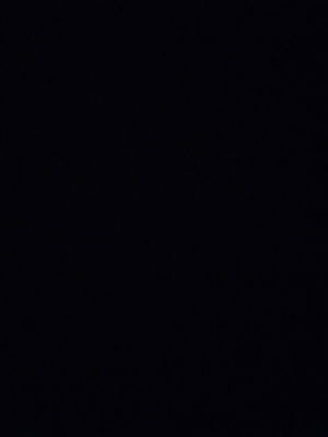 shaolinfis's Profile Photo