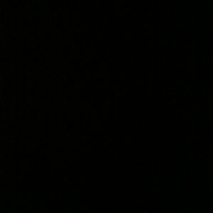 shawn990's Profile Photo