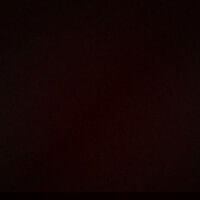 shhshshsd's Profile Photo