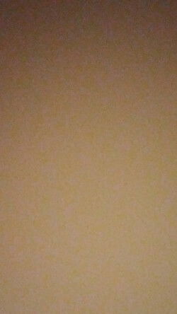 shroomheadpeep's Profile Photo